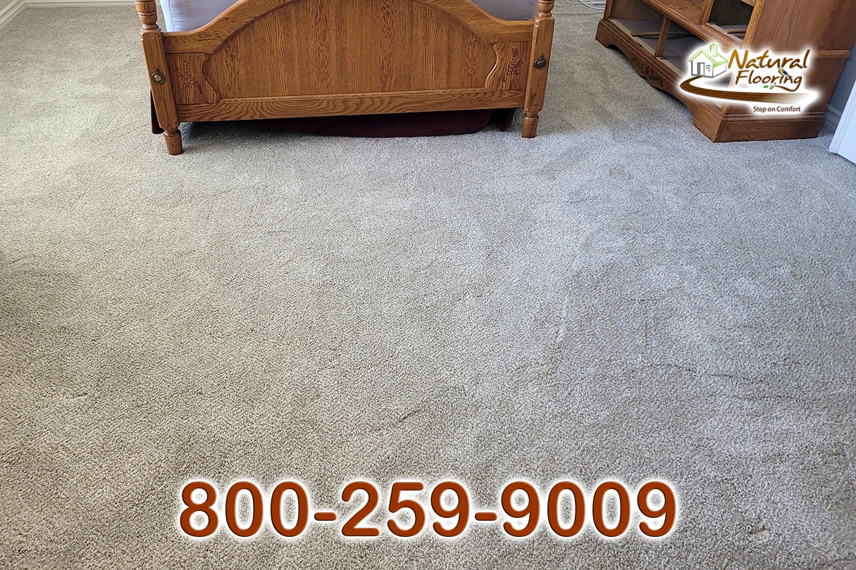 Trusplendor Mist Carpet