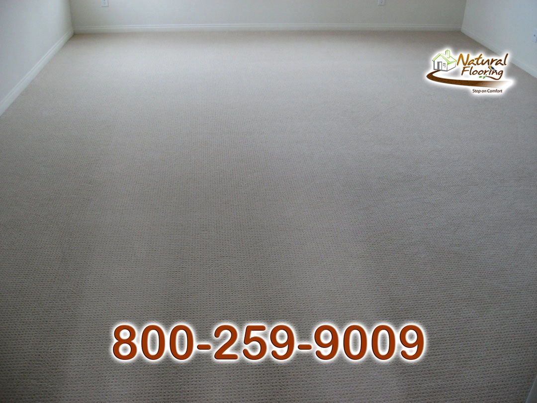 Water Place Waterfall Carpet