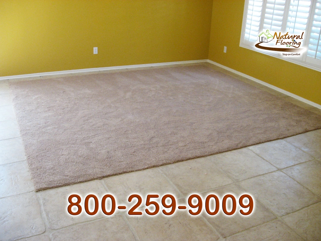 Blonde Carpet