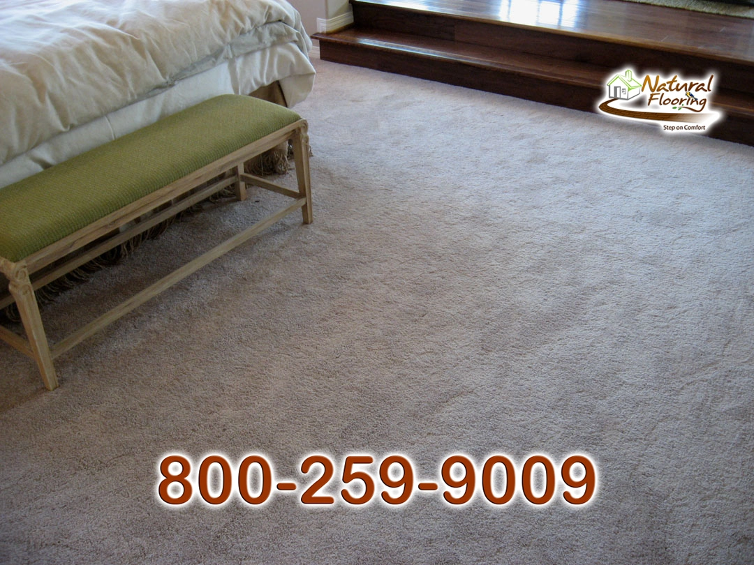 Blonde Carpet