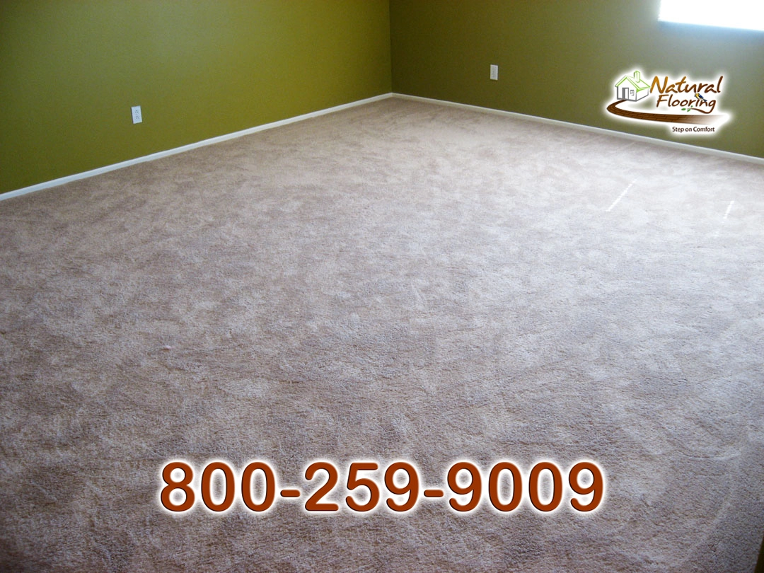 Blonde Carpet