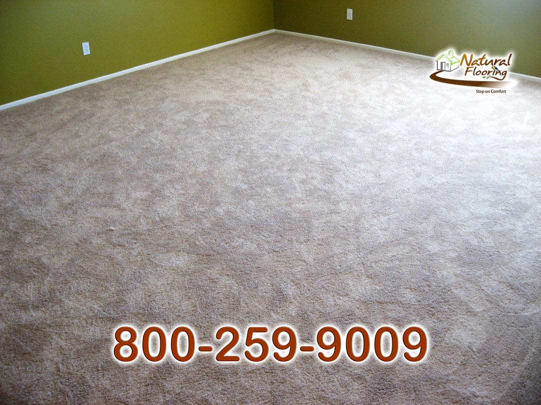 Blonde Carpet