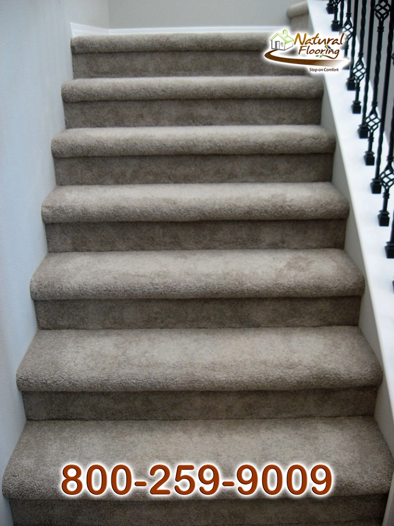 Blonde Carpet