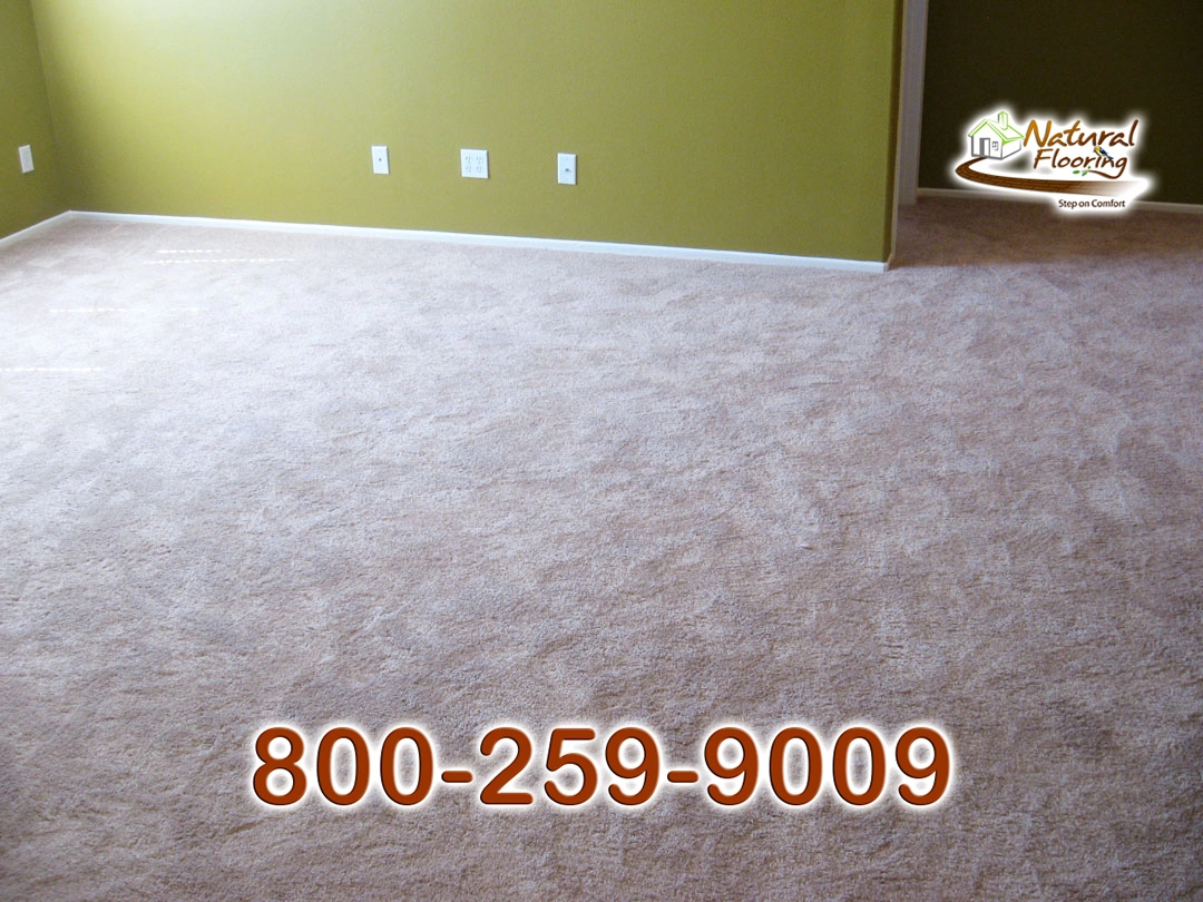 Blonde Carpet