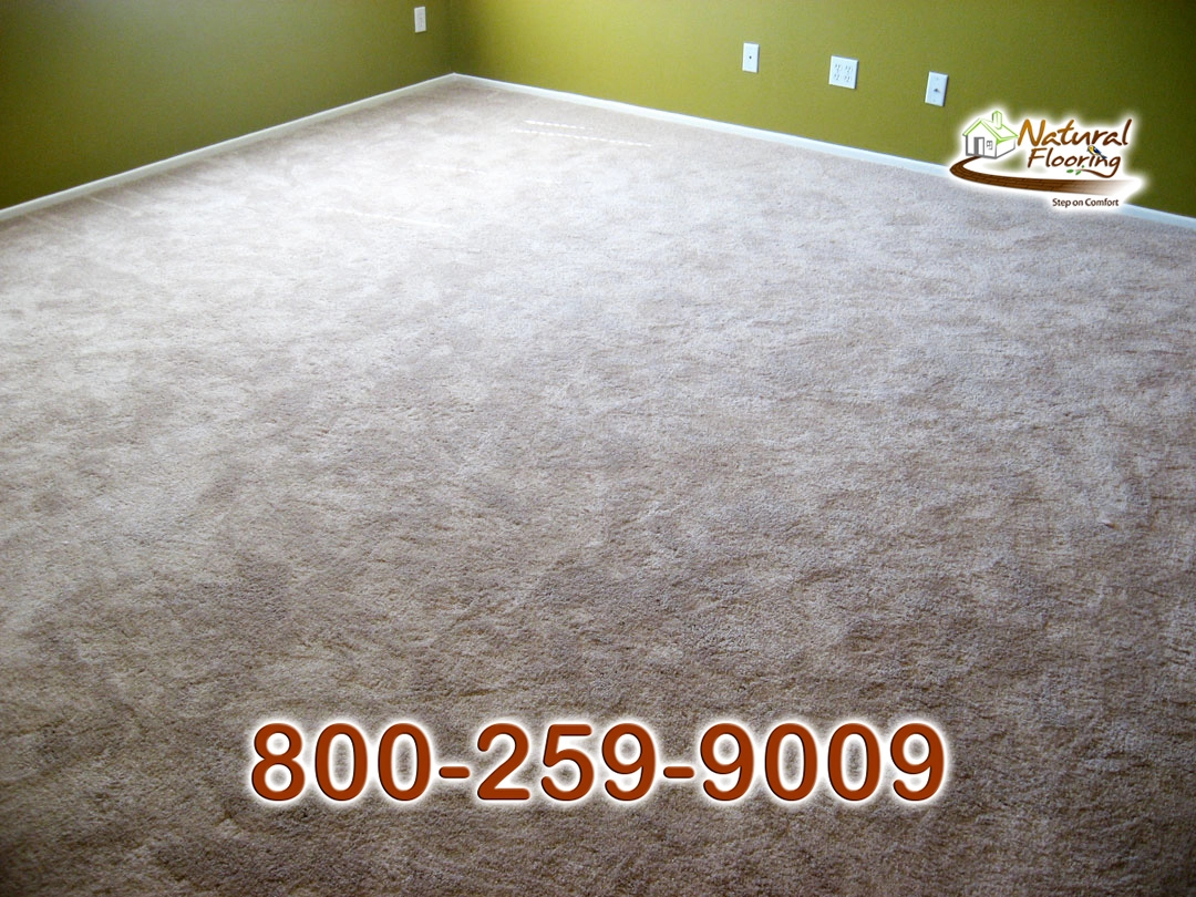 Blonde Carpet