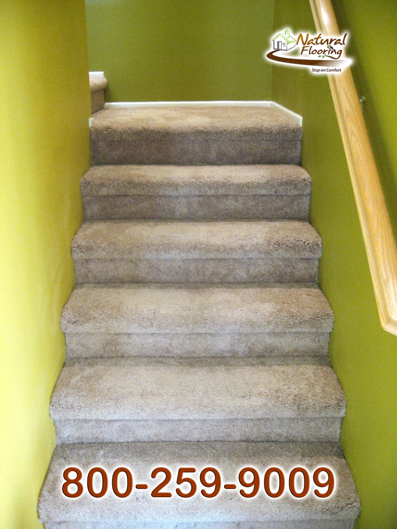Blonde Carpet