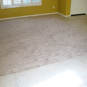 Without Question Blonde Carpet Shaw 15