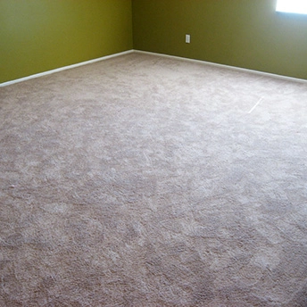 Without Question Blonde Carpet Shaw 17