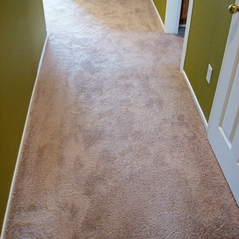 Without Question Blonde Carpet Shaw 18