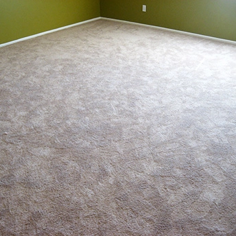 Without Question Blonde Carpet Shaw 19