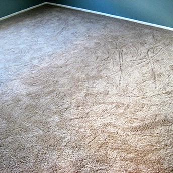 Without Question Blonde Carpet Shaw 20