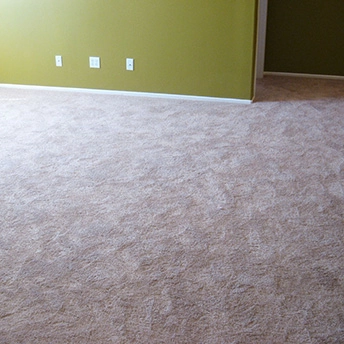 Without Question Blonde Carpet Shaw 21