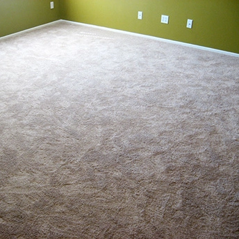 Without Question Blonde Carpet Shaw 22