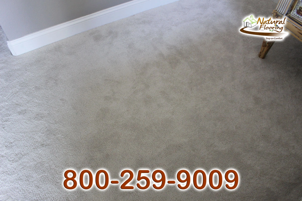 Glaws Carpet