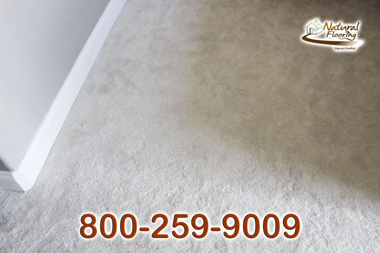 Glaws Carpet