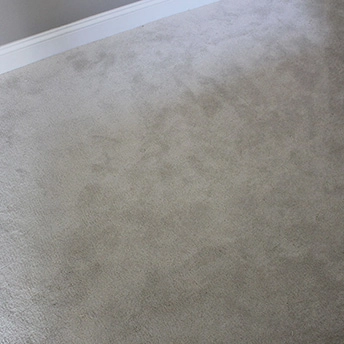 XV640 Glaws Carpet Shaw 1 669171