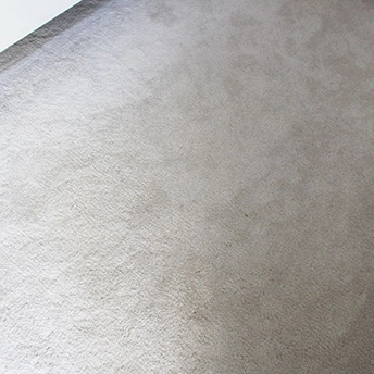 XV640 Glaws Carpet Shaw 2 691874