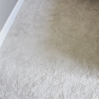 XV640 Glaws Carpet Shaw 3