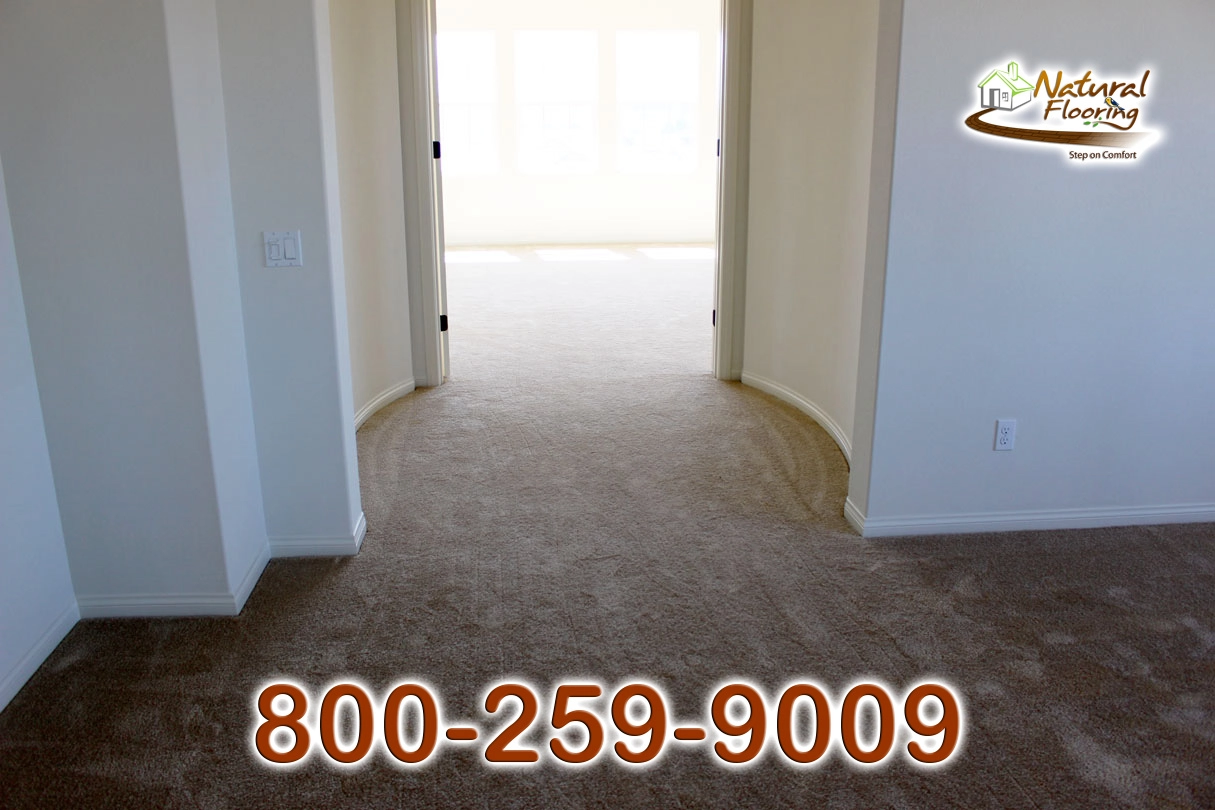 Northern Plains Carpet