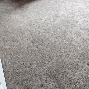 Shaw XV640 Rock Ridge Carpet 1