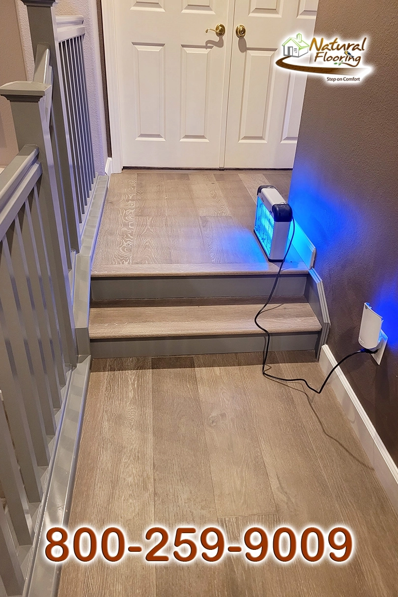 Anchor European Oak Wood Floor