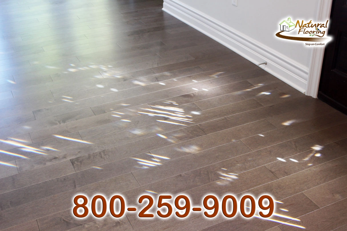 Mulberry Birch Wood Floor