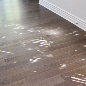 Birch Mulberry Wood Floor Urban 9