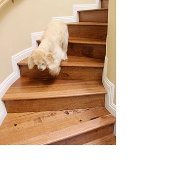 Hickory Harvest Wood Floor Oasis 8