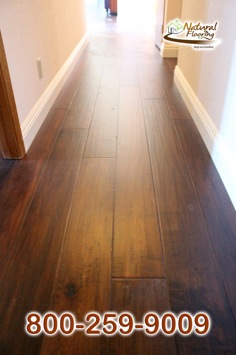 Albany Maple Wood Floor