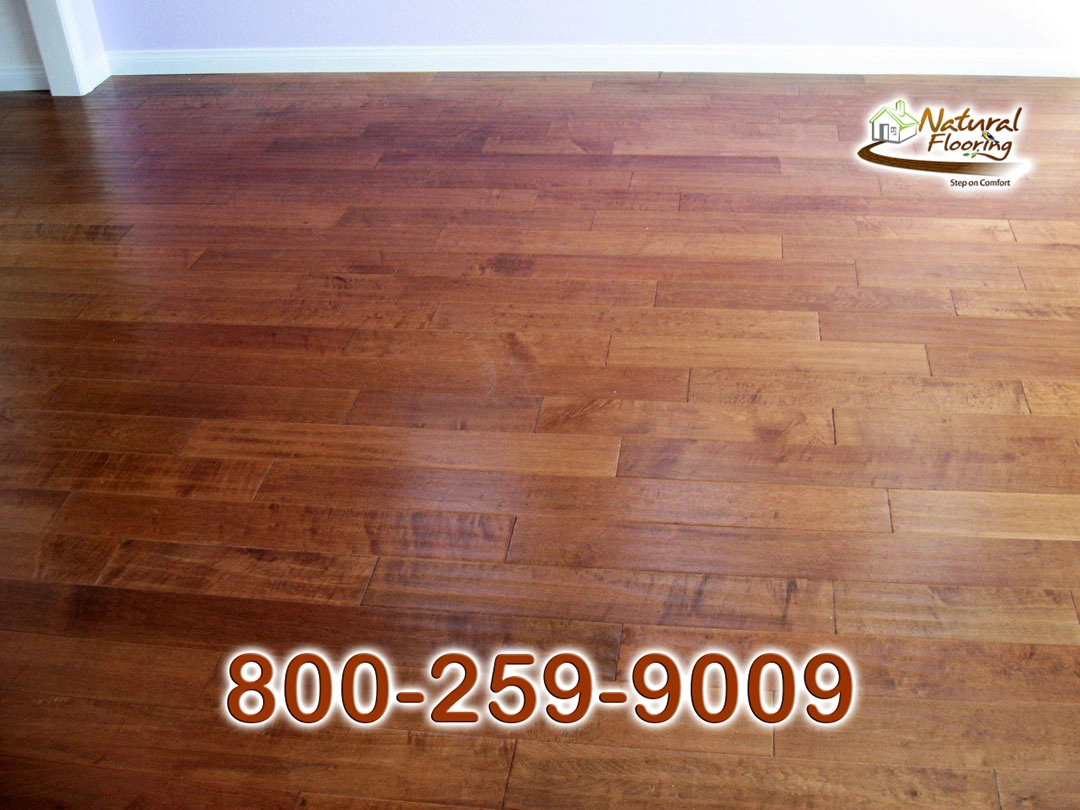 Amazon Maple Wood Floor