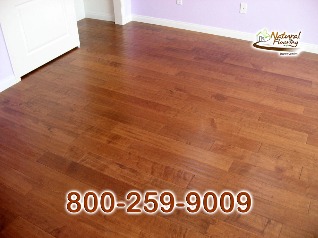 Amazon Maple Wood Floor