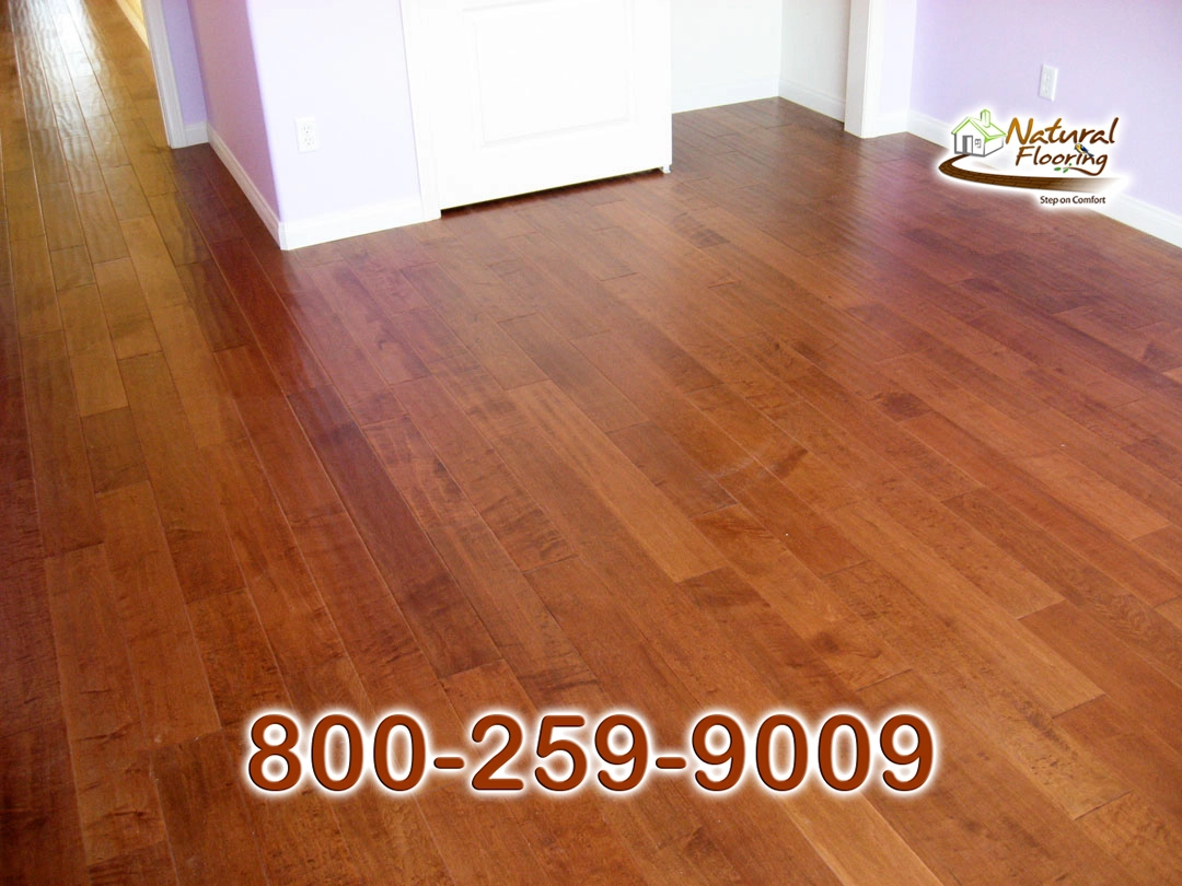 Amazon Maple Wood Floor