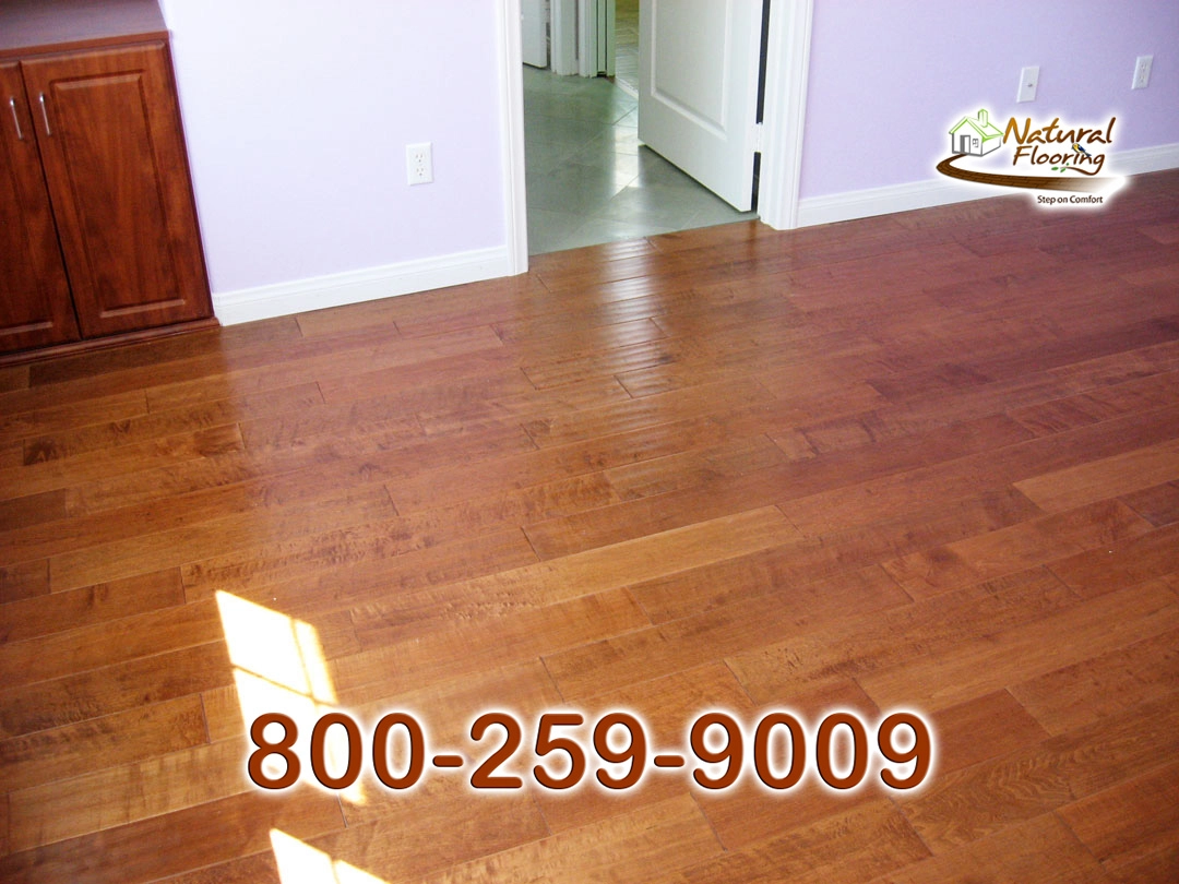 Amazon Maple Wood Floor