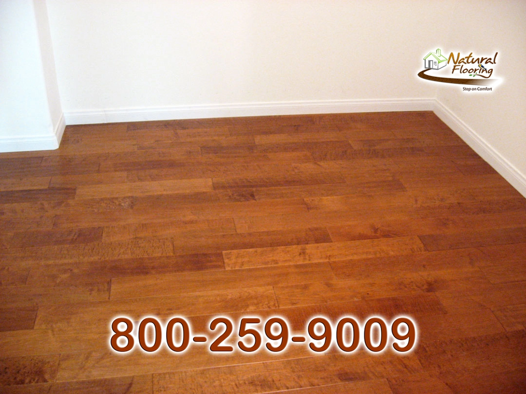 Amazon Maple Wood Floor