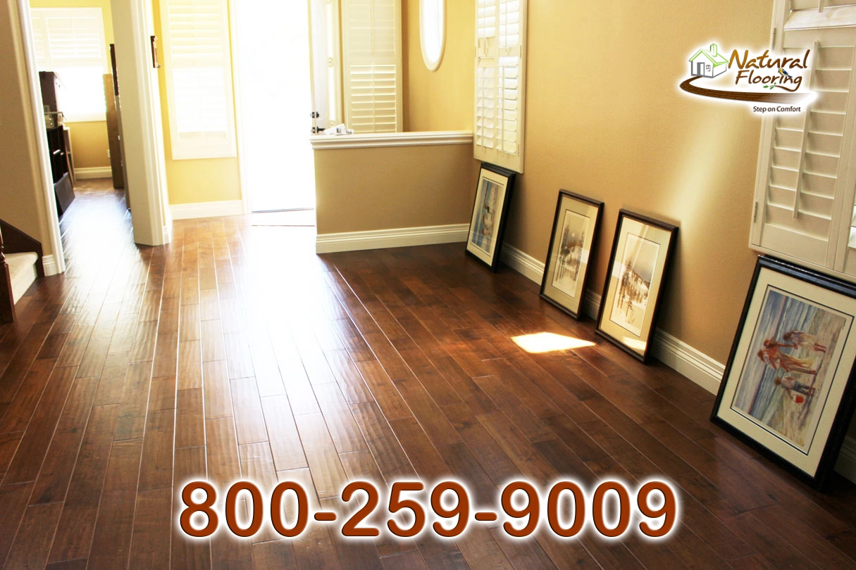 Arches Maple Wood Floor