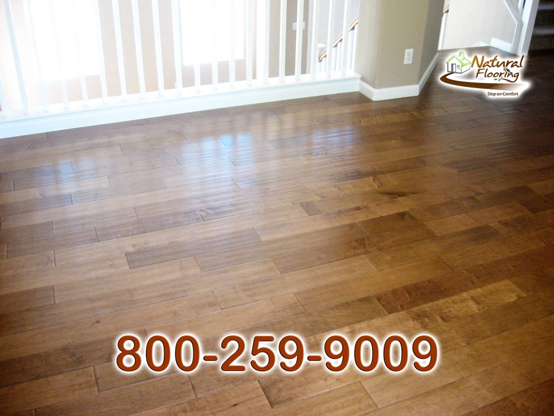 Chestnut Maple Wood Floor