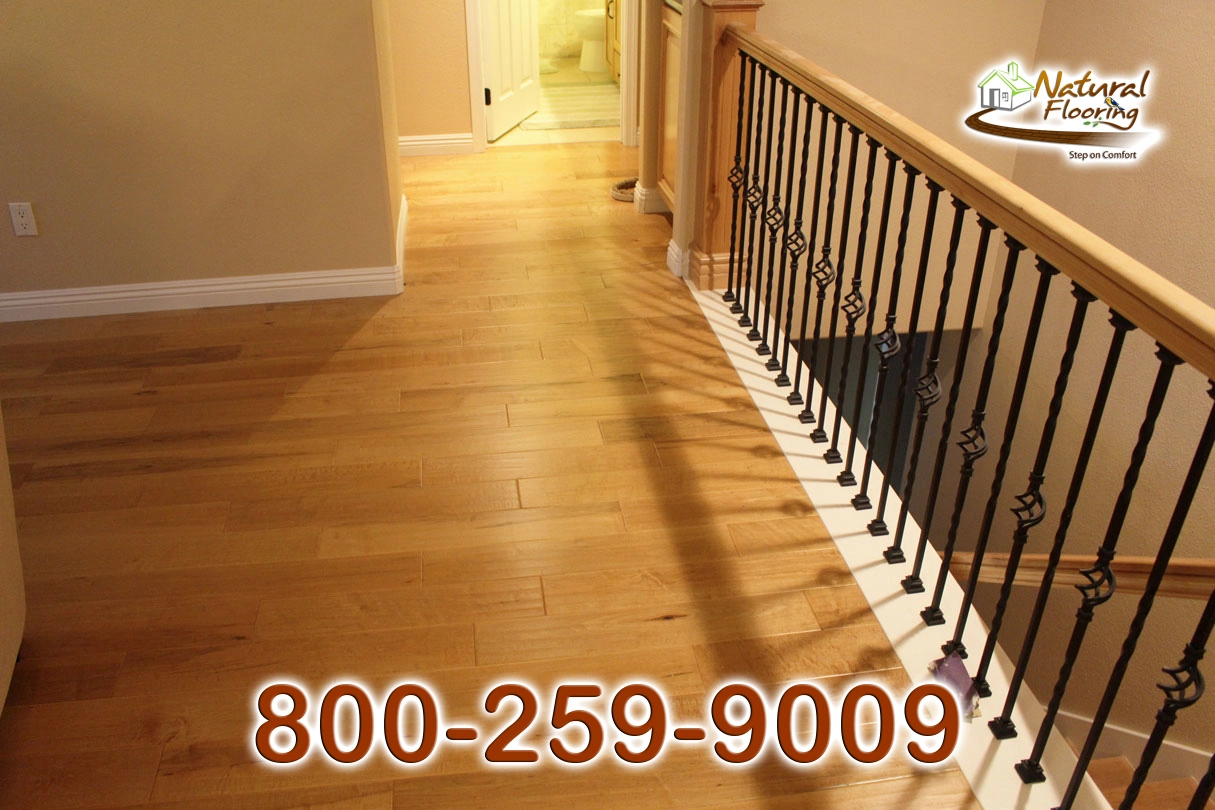 Everglades Maple Wood Floor