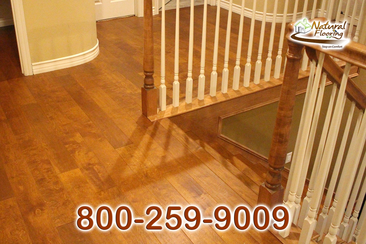Monroe Maple Wood Floor