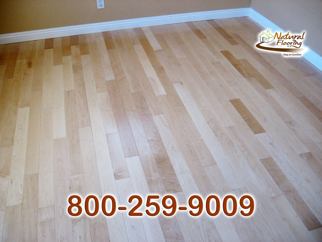 Natural Maple Floor