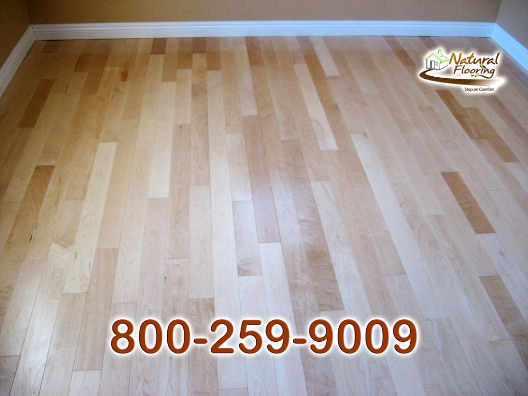 Natural Maple Floor