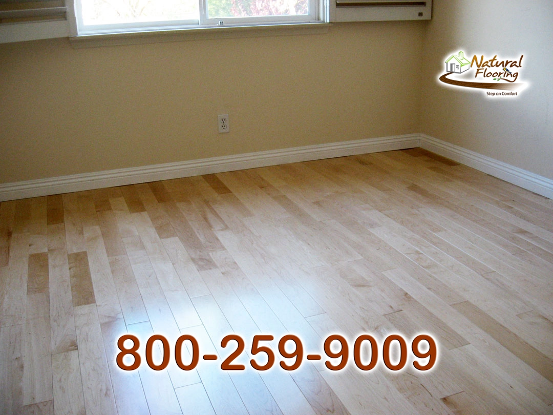 Natural Maple Floor