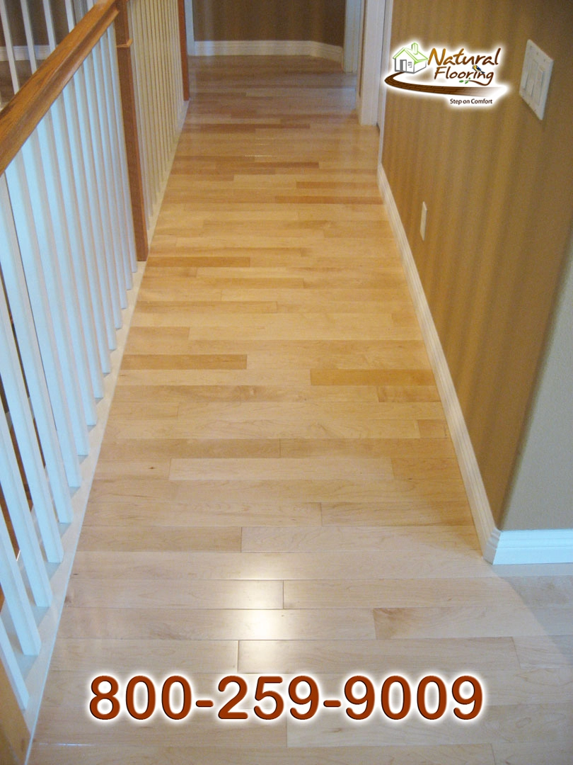 Natural Maple Floor