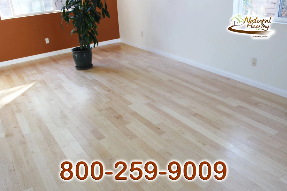 Natural Maple Wood Floor