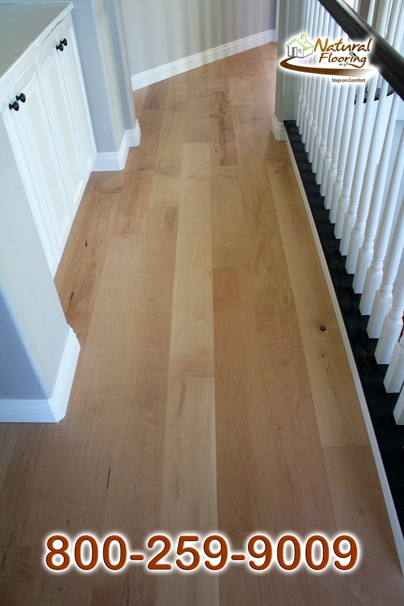 Maple Natural Wood Floor