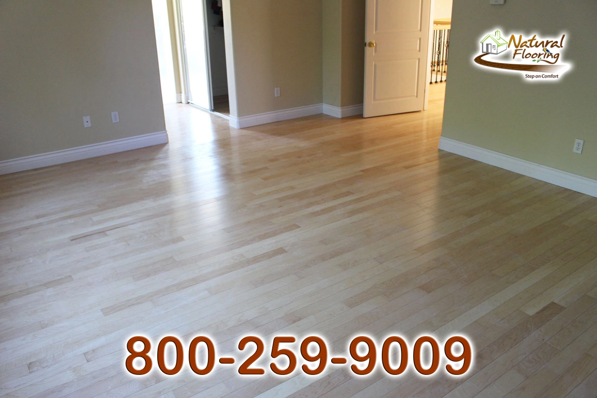 Natural Maple Wood Floor