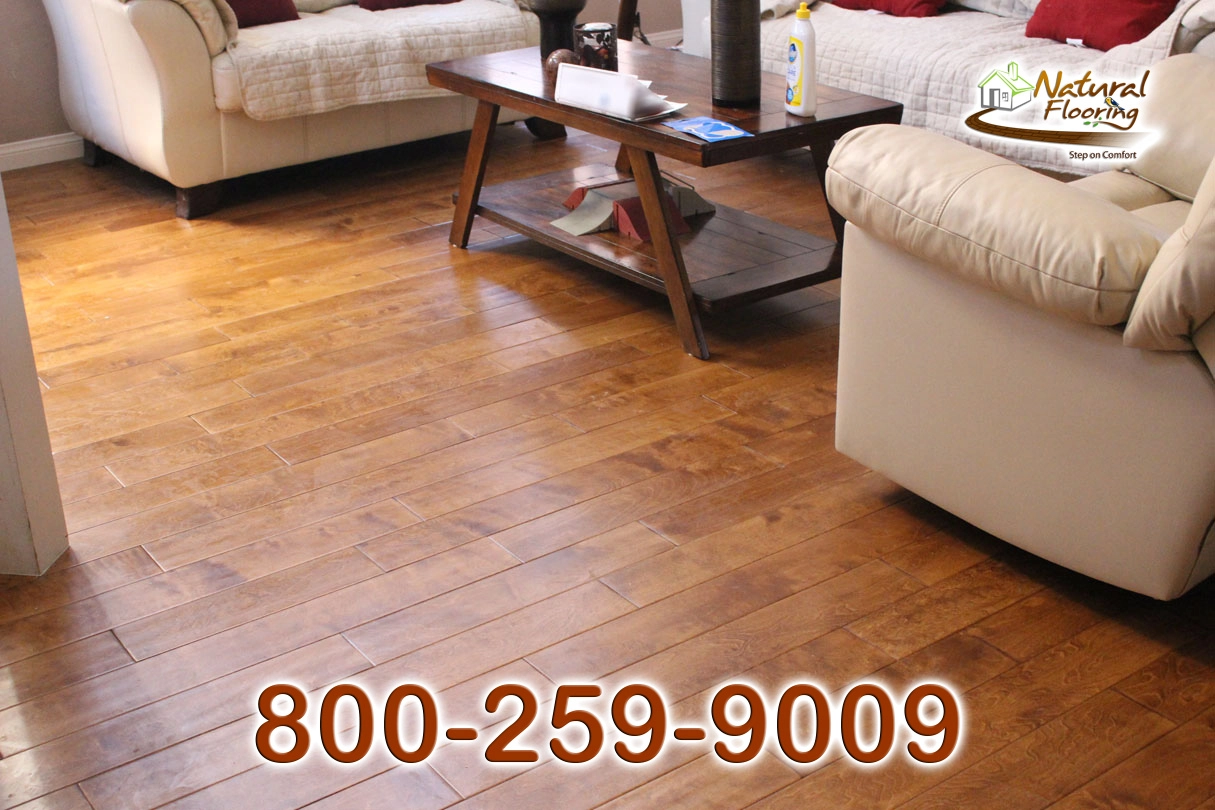 Pristine Maple Wood Floor