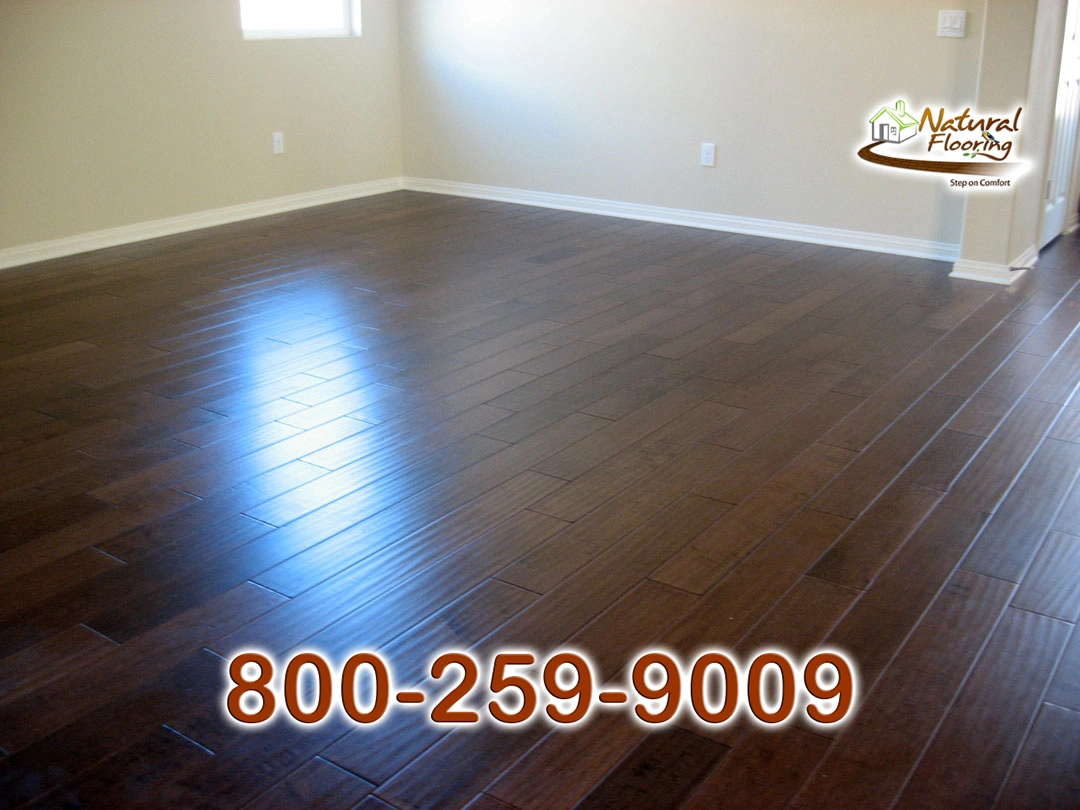 Stout Maple Wood Floor