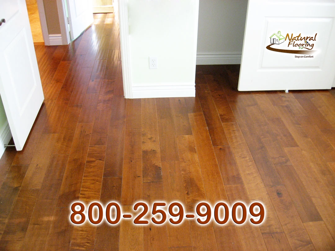 Sunset Maple Wood Floor