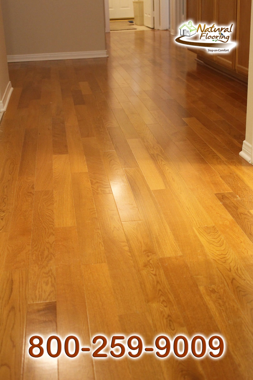 Butterscotch Red Oak Wood Floor