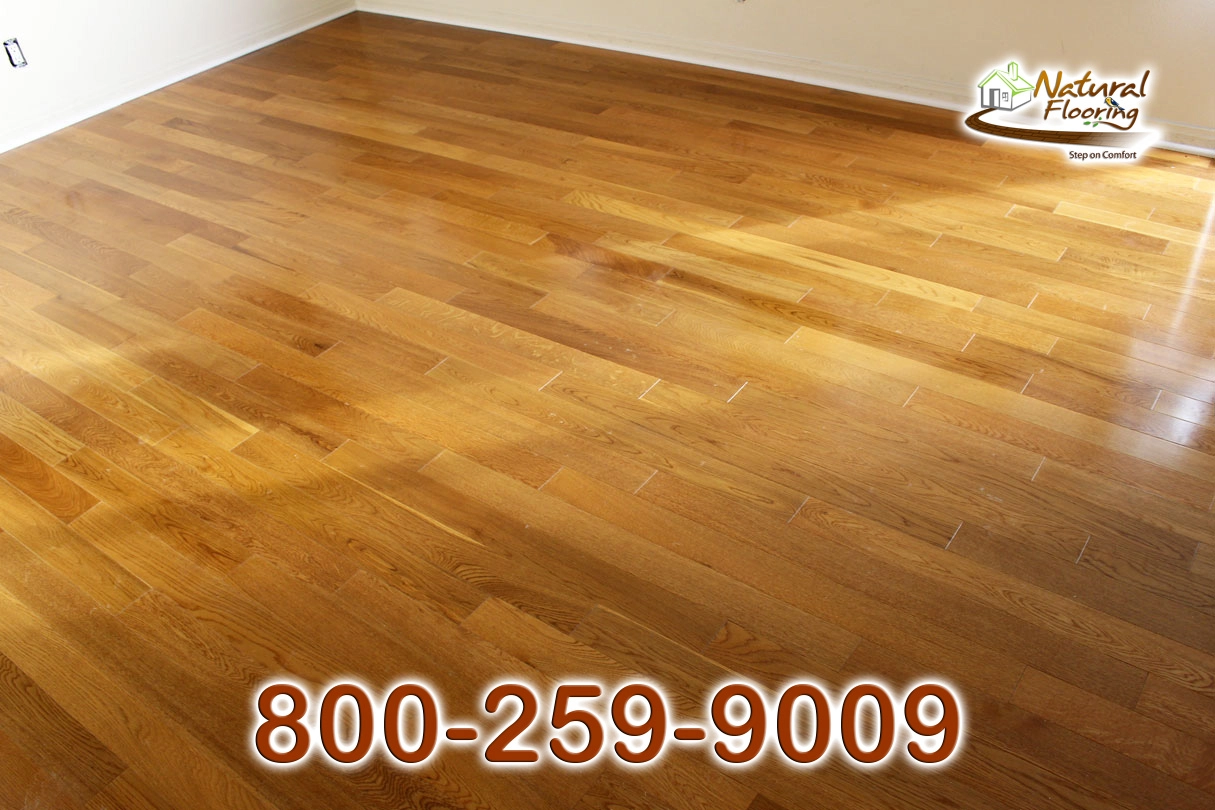 Butterscotch Red Oak Wood Floor